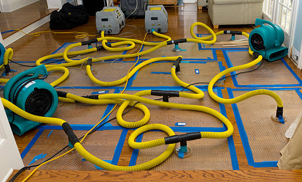 Professional Flood Damage Restoration technician working in Troup, TX